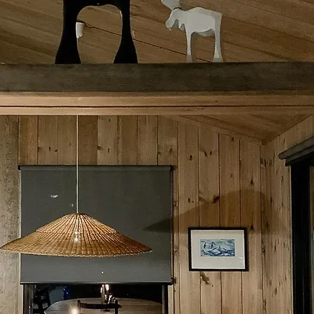 Modern In For Whole Family Rauland