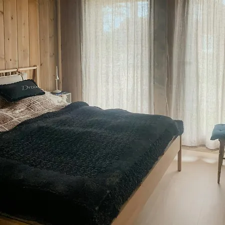 Modern In For Whole Family